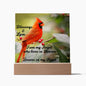 When Cardinals appear, Loved ones are Near