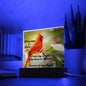 When Cardinals appear, Loved ones are Near