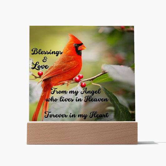 When Cardinals appear, Loved ones are Near